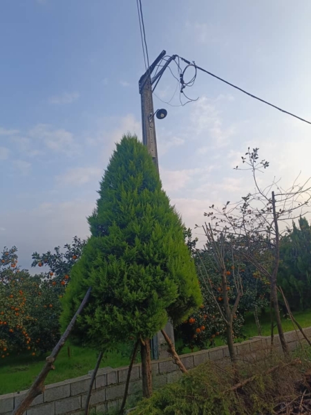 رودباری کنار