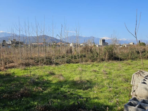 فروش زمین در سلیمان‌آباد تنکابن